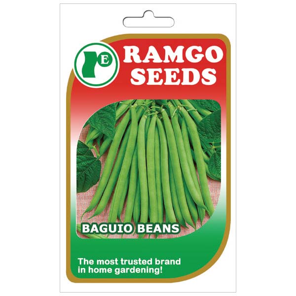 Ramgo Baguio Bean Seeds