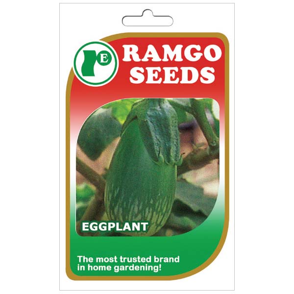 Ramgo Eggplant Ilokano Seeds