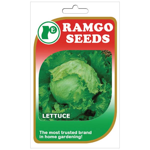 Ramgo Iceberg Lettuce Seeds