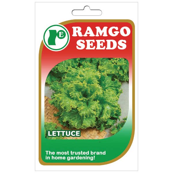 Ramgo Black Simpson Lettuce  Seeds