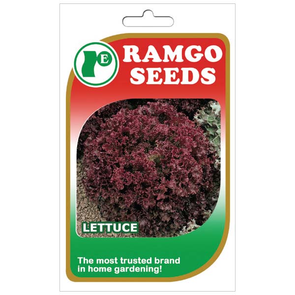 Ramgo Lollo Rossa Lettuce Seeds